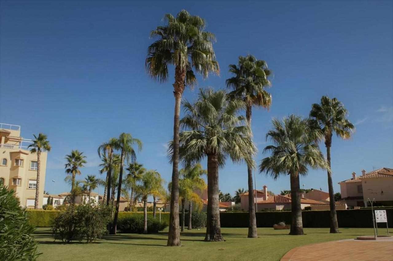 Apartamento De Lujo En La Playa Oliva Luaran gambar